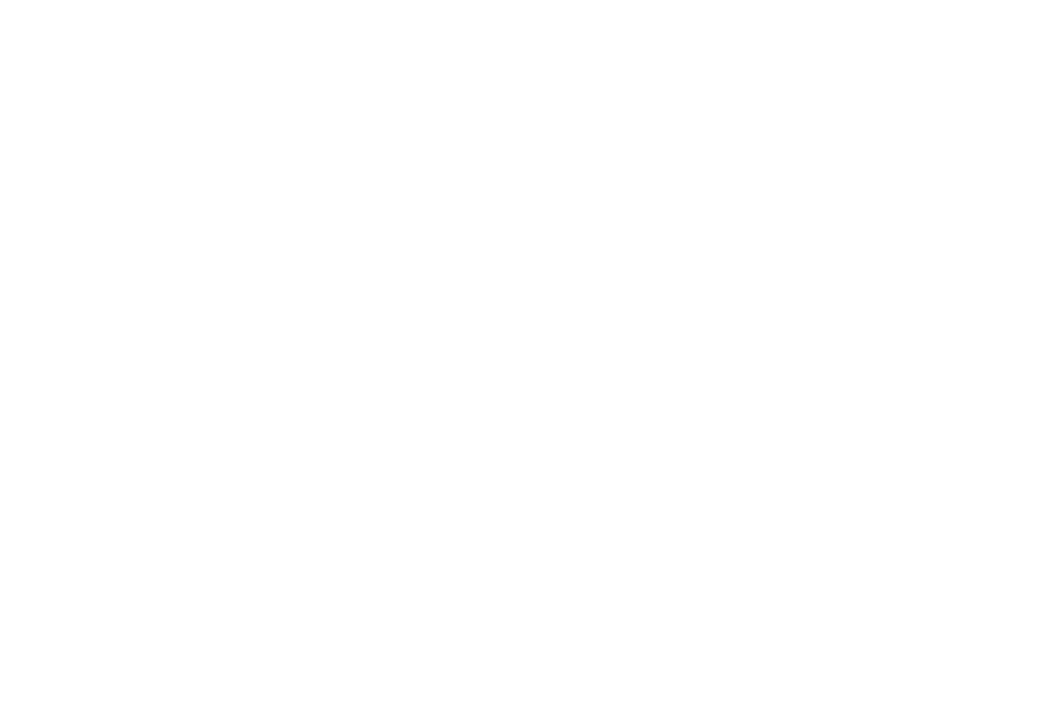 Palidise
